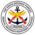 Defmis logo